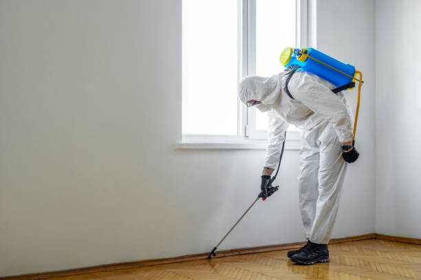 Best Pest Control Near Me  in Fellsburg, PA