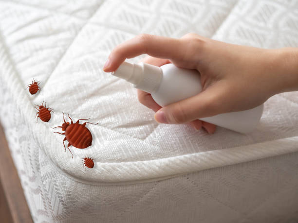 Best Pest Inspection Near Me  in Fellsburg, PA