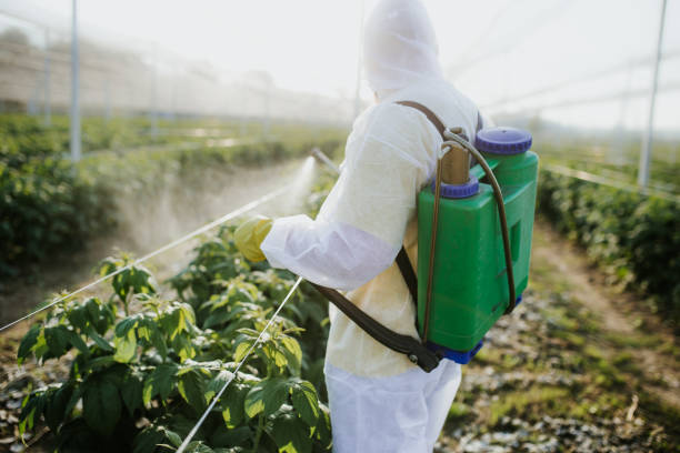 Best Pest Prevention Services  in Fellsburg, PA